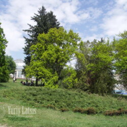 Botanical Garden, Kyiv
