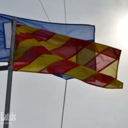 Regatta team flags